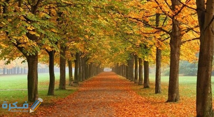 IMG ٢٠٢٠١٠٢٣ ٢٣٣٦٥١