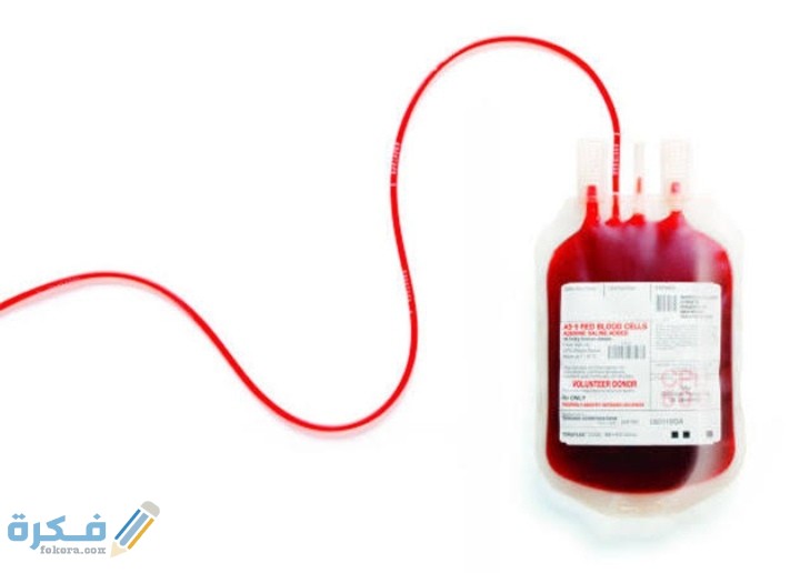 IMG ٢٠٢٠١٠٢٥ ٠٠٢٦٥٠