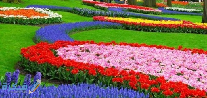 IMG ٢٠٢٠١٠٢٧ ٠١٠٧٠١