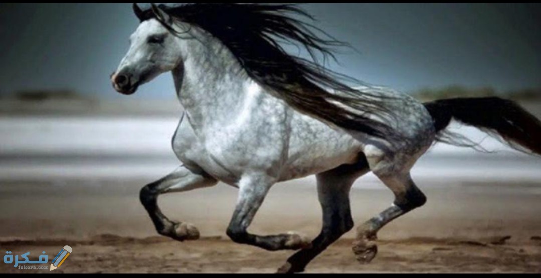 IMG ٢٠٢٠١٠٢٧ ١٤٠٥٣١