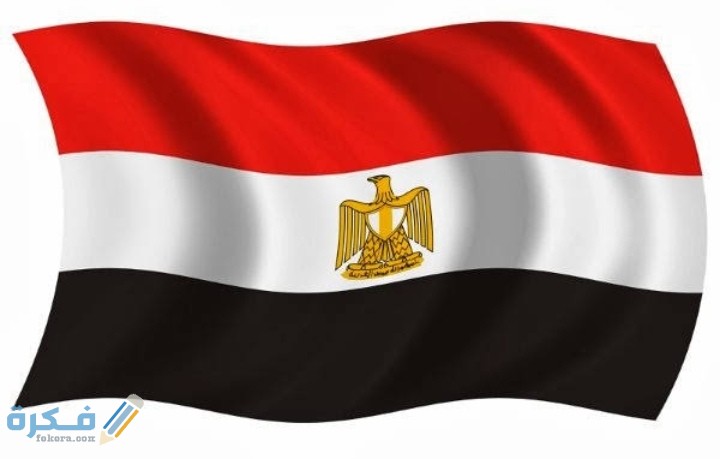 IMG ٢٠٢٠١٠٢٩ ١٤٤٥٢٥