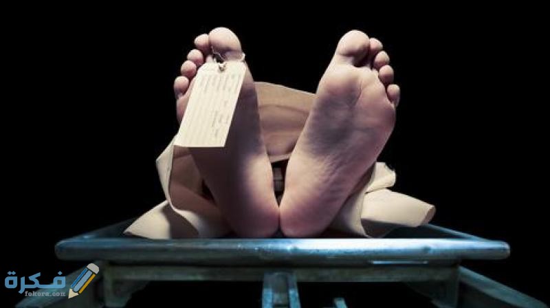 تفسير رؤية الميت دون ان يتكلم بالتفصيل 5 dc Cover 6sffrh93edcdaa5sisokroib52 20160506151651.Medi