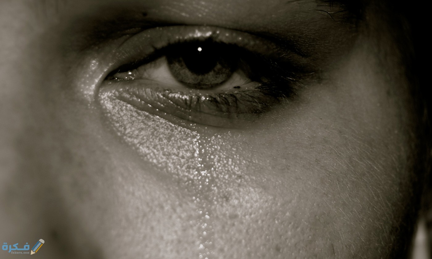 idea SIZED Lauren C 3888834634 a5635cf162 o