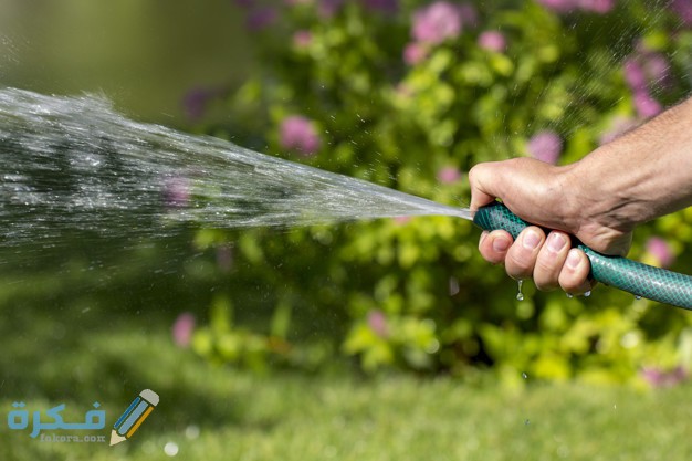 man holds garden hose his hand watered plants pinched edge hose better spraying water 160152 265