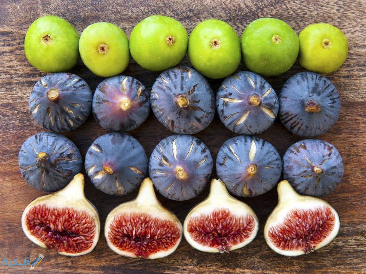 زراعة التين من البذور 1200x900 1