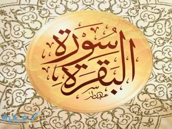 23898bd00bc35f8b980e52c69b88938e