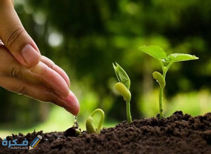 IMG ٢٠٢٠١١٠٩ ٠١٢٠٤١