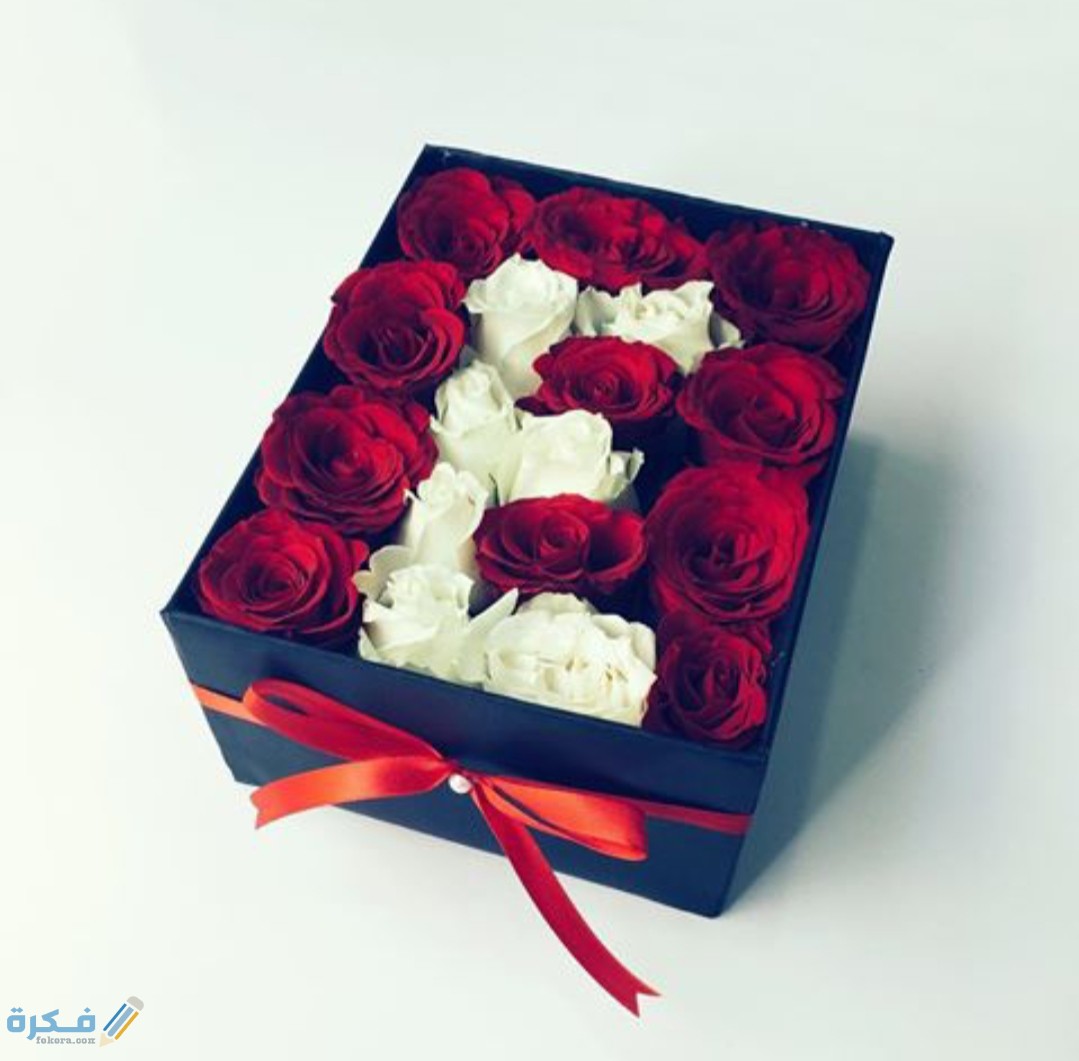 IMG ٢٠٢٠١١٠٩ ١٥٥١٠٤