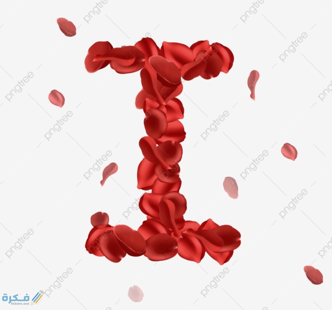 IMG ٢٠٢٠١١٠٩ ١٦٤٠٠٦