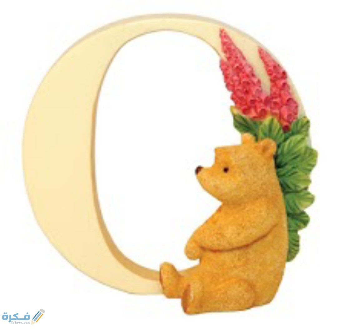 IMG ٢٠٢٠١١١٠ ١٩٣٠٢٩