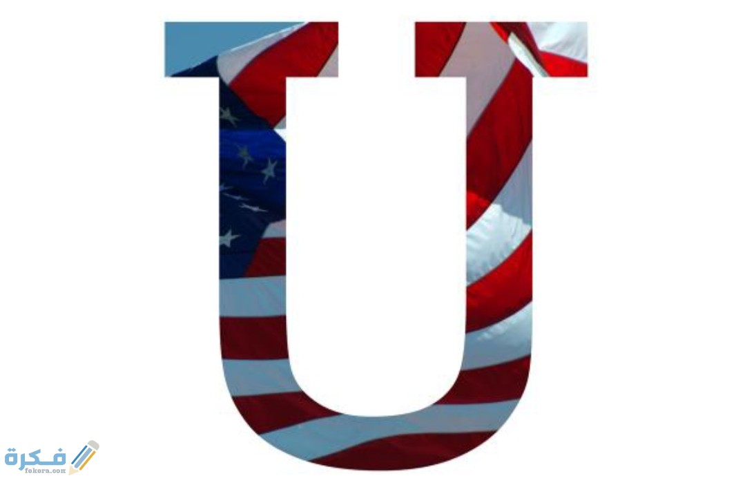 IMG ٢٠٢٠١١١١ ٢٠٣١٤٧