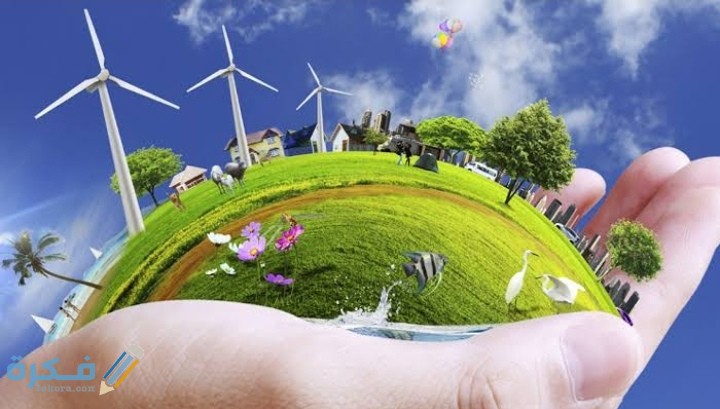 IMG ٢٠٢٠١١١٥ ٠٠١٩٣٢