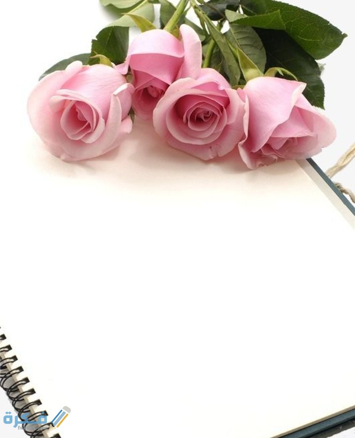 اطارات وورد جاهزة للكتابة عليها 2026 بداخلها اجمل اطارات 5 IMG ٢٠٢٠١١١٦ ٠١٥٩٠٣ 1