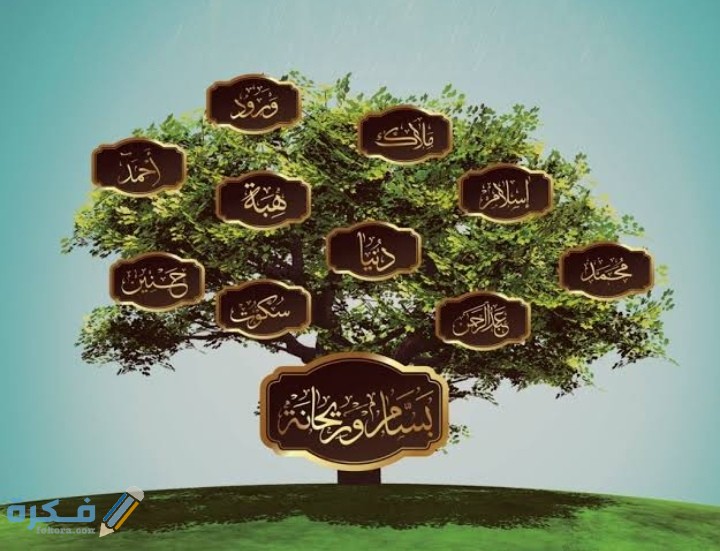 IMG ٢٠٢٠١١١٦ ٠١٥٩١٤