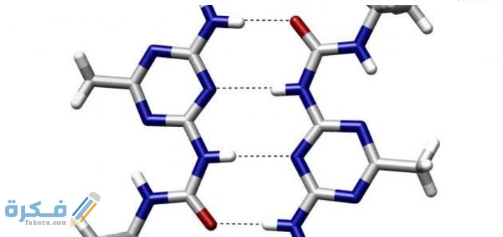 IMG ٢٠٢٠١١١٨ ٠٢٣٤٤٥