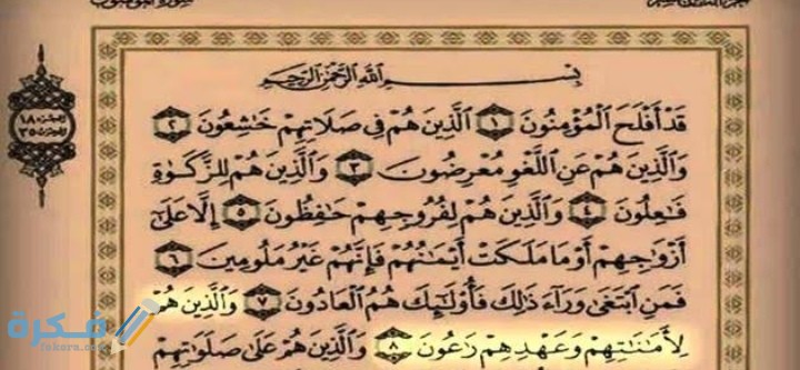 IMG ٢٠٢٠١١١٨ ٢٣٥٣٥٥