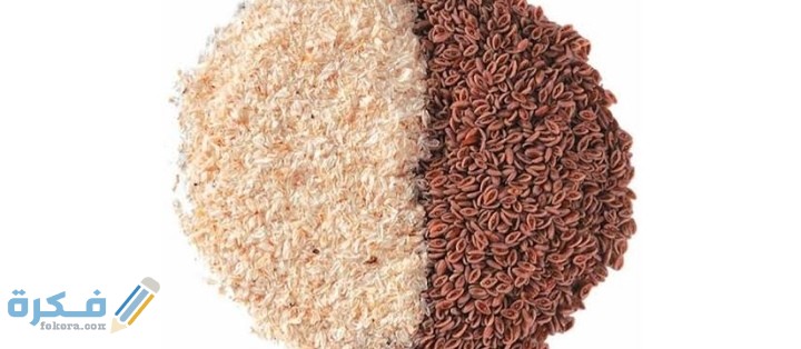 IMG ٢٠٢٠١١٢٧ ٠١٠٣١٦