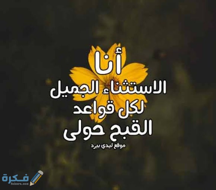 IMG ٢٠٢٠١١٢٧ ٠٩٤٧٢٧