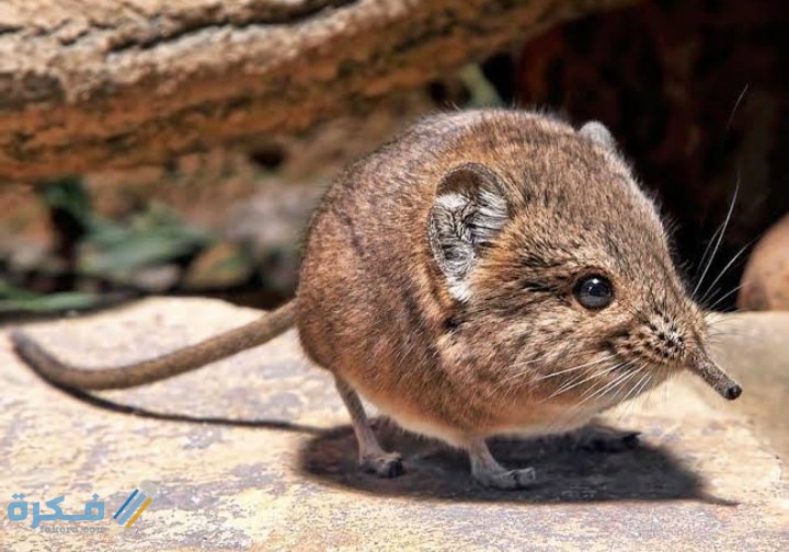 IMG ٢٠٢٠١١٢٨ ٢٣٥٣٠٩