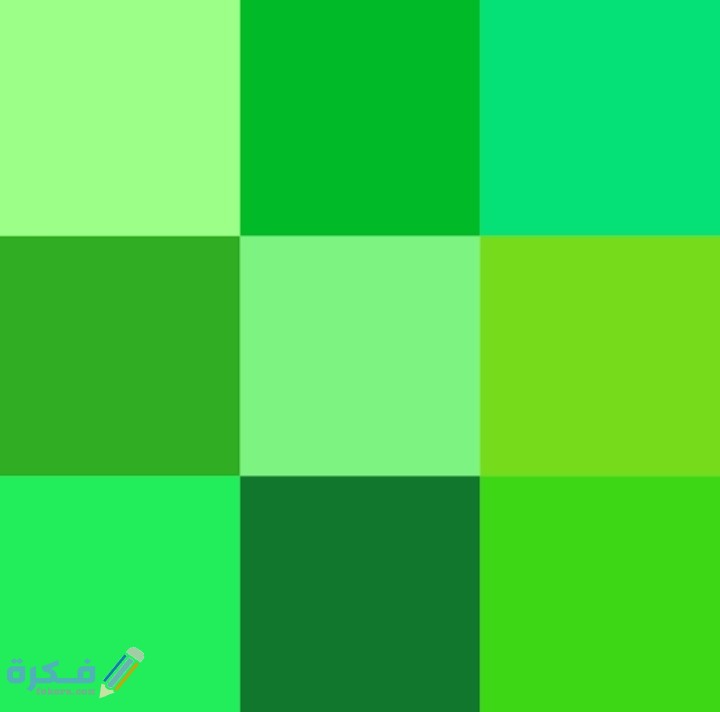 IMG ٢٠٢٠١١٢٨ ٢٣٥٣٣٧