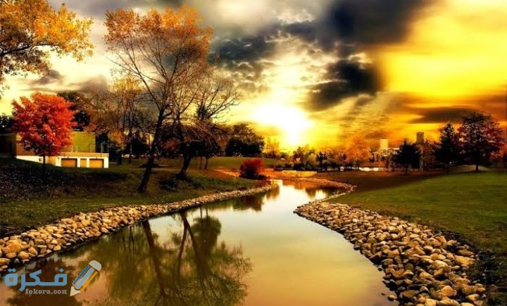 IMG ٢٠٢٠١١٢٩ ٠١١٩١٧