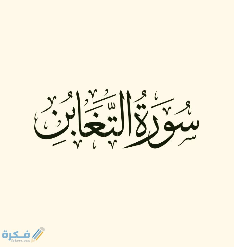 d6f83ee057ddde935ea48702f5567248