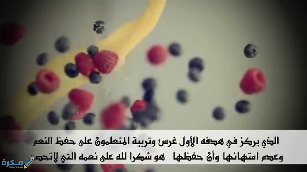 اذاعه مدرسية عن النعم