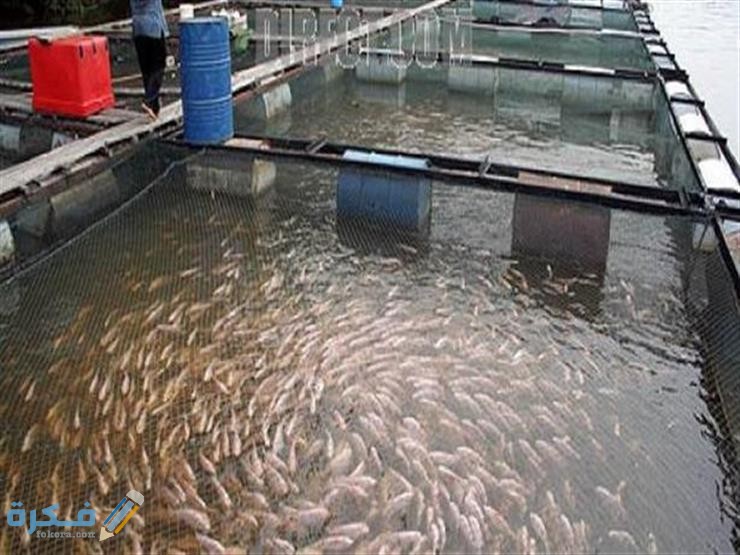 2018 9 16 13 51 59 797