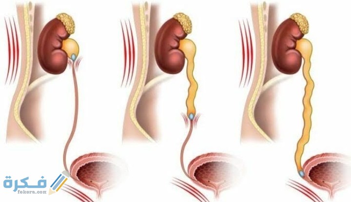 IMG ٢٠٢٠١٢٠١ ٠٢٢٠١٦