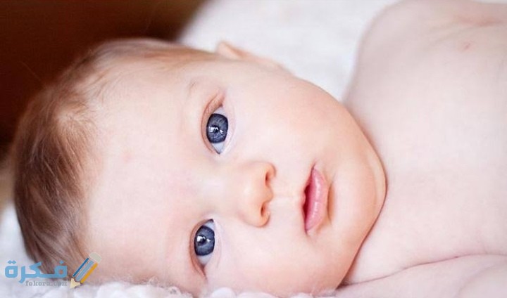 IMG ٢٠٢٠١٢٠٢ ٠١٤٠٥٠