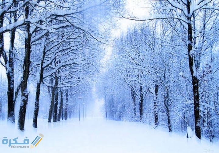 IMG ٢٠٢٠١٢٠٣ ٠٢٥٧٥٨