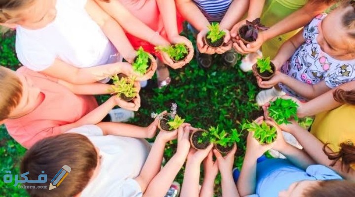 IMG ٢٠٢٠١٢٠٣ ٠٢٥٨٥٧