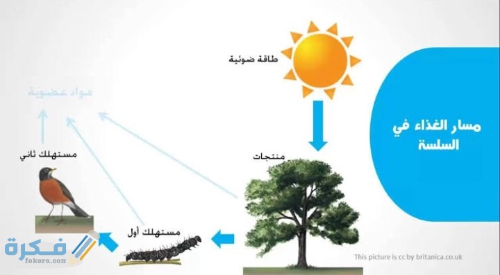 IMG ٢٠٢٠١٢٠٥ ٠٢٢٠٥٥