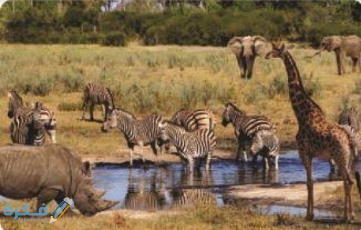 IMG ٢٠٢٠١٢٠٦ ٠٢٢٠١٩