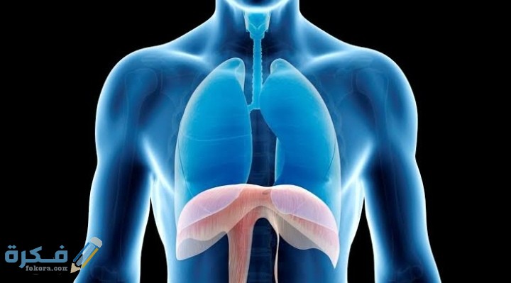 IMG ٢٠٢٠١٢٠٦ ٢٣٠٤١٥