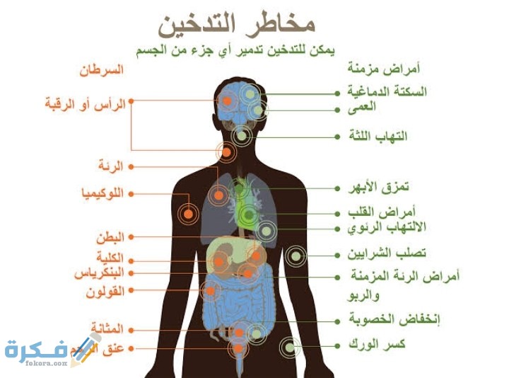 IMG ٢٠٢٠١٢٠٦ ٢٣٠٤٣٧
