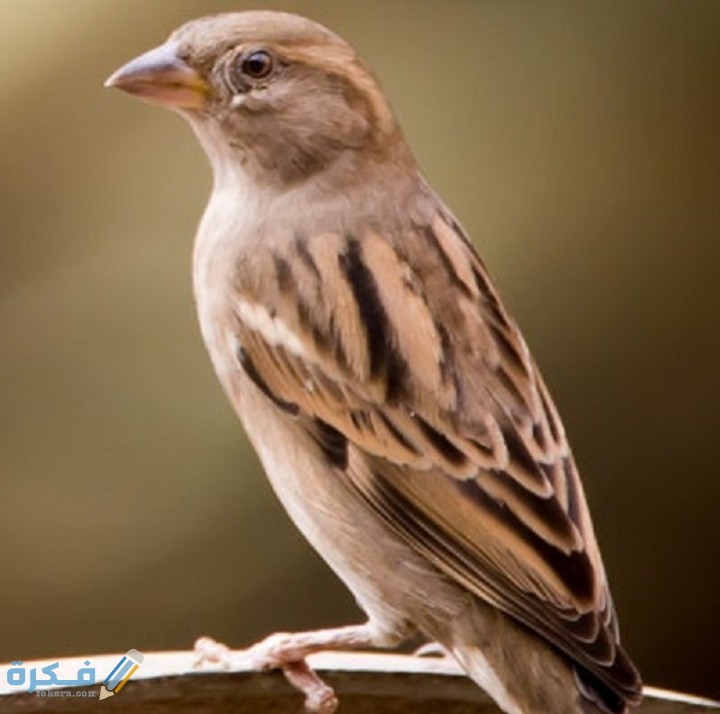 IMG ٢٠٢٠١٢٠٦ ٢٣٠٥٠٢