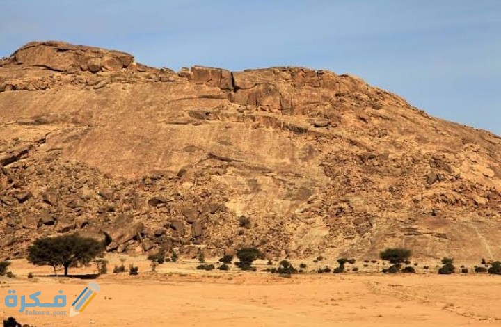 IMG ٢٠٢٠١٢٠٨ ٠١٢٨٤٣