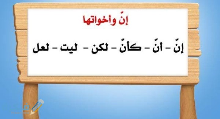 IMG ٢٠٢٠١٢٠٩ ٠٢٤٣٢٤