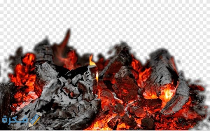 IMG ٢٠٢٠١٢٠٩ ٠٢٤٣٤٢