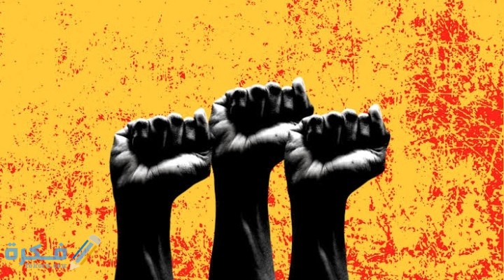 IMG ٢٠٢٠١٢٠٩ ٠٢٤٣٥١