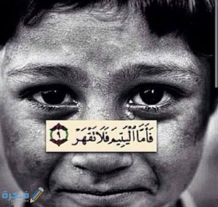 IMG ٢٠٢٠١٢١٠ ٠٢٢٣٤٦