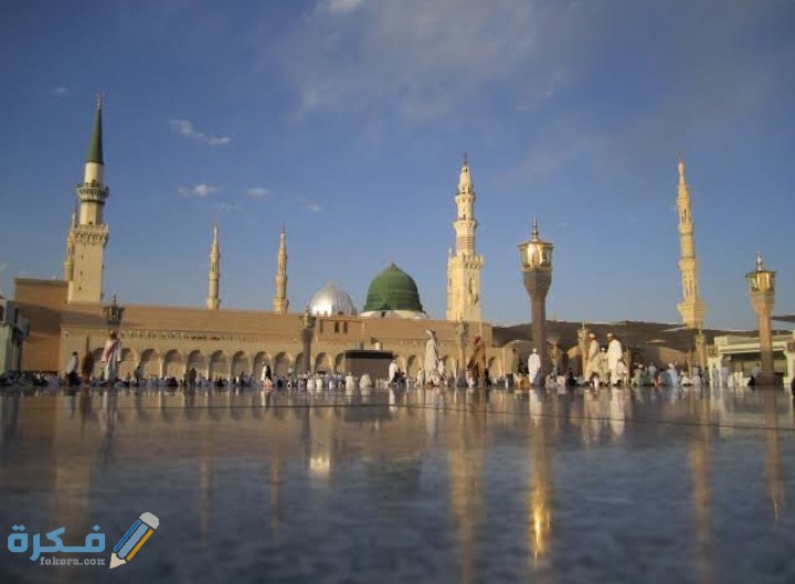 IMG ٢٠٢٠١٢١٠ ٠٢٢٤٠٣