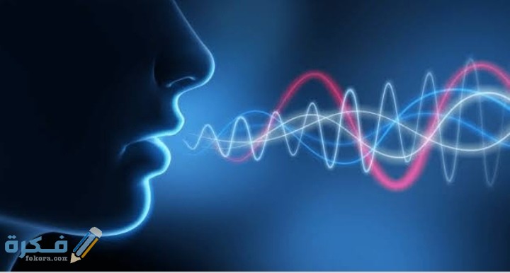 IMG ٢٠٢٠١٢١٠ ٠٢٢٤١٢