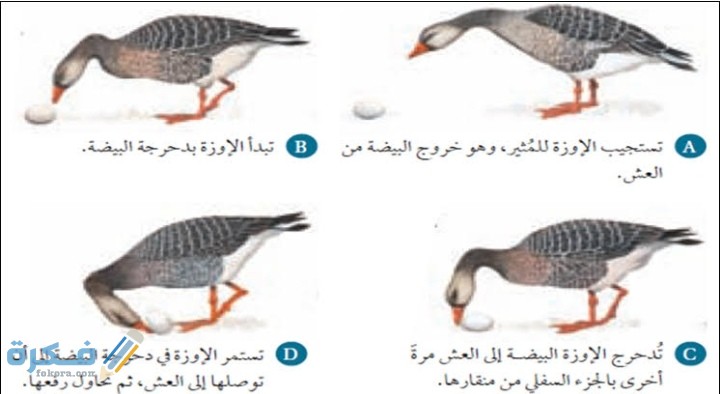 IMG ٢٠٢٠١٢١٠ ٠٢٤٩٠٨