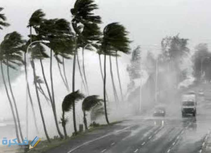 IMG ٢٠٢٠١٢١٥ ٠٠٥٩٥٠