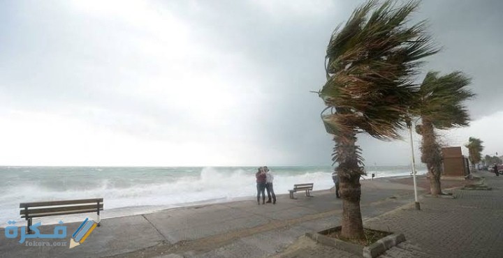 IMG ٢٠٢٠١٢١٥ ٠٢١٠٤٥