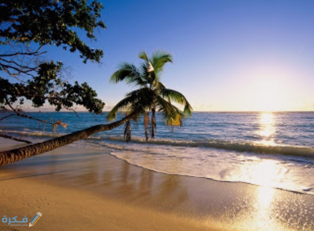 IMG ٢٠٢٠١٢١٦ ٢٠٣١٣٢