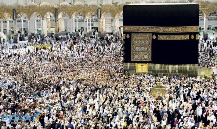 IMG ٢٠٢٠١٢١٨ ٠٠٣٨٣٤