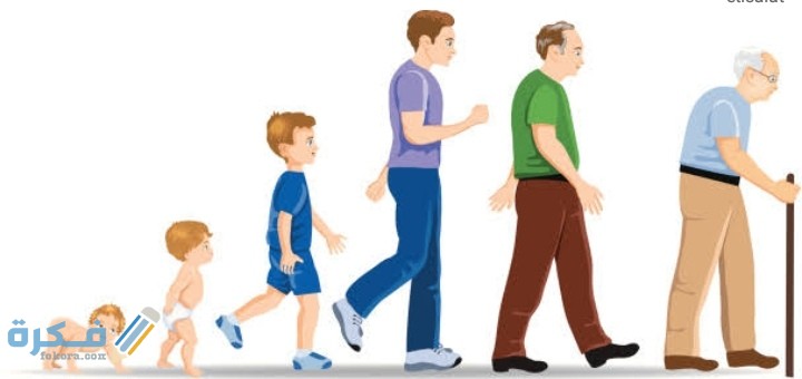 IMG ٢٠٢٠١٢١٩ ٢٣٣٩١٣